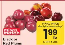 ACME Black or Red Plums offer