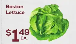 DeCicco & Sons Boston Lettuce offer