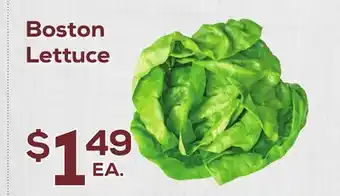 DeCicco & Sons Boston Lettuce offer