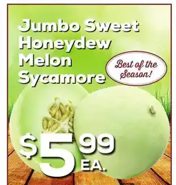DeCicco & Sons Jumbo Sweet Honeydew Melon Sycamore offer