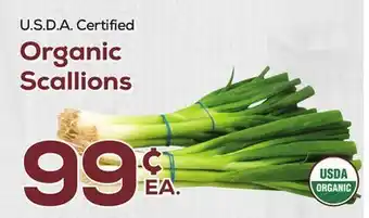 DeCicco & Sons Organic Scallions offer
