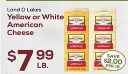 DeCicco & Sons Land O Lakes Yellow or White American Cheese offer