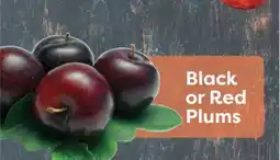 Weis Markets Black or Red Plums offer