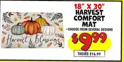 Ollie's 18 X 30 HARVEST COMFORT MAT offer