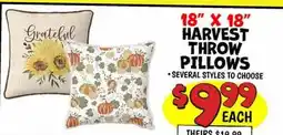 Ollie's 18 x 18 Grateful HARVEST THROW PILLOWS offer