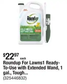 The Home Depot Roundup For Lawns1 Ready- To-Use with Extended Wand, tough offer