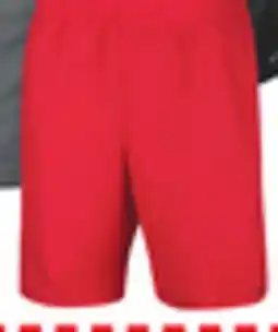 Big 5 Nike Men's 9 Multi-Purpose Volley Swim Trunks offer
