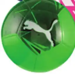 Big 5 Puma Big Cat Soccer Ball offer