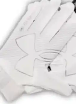 Big 5 Under Armour F9 Receiver Adult Gloves offer