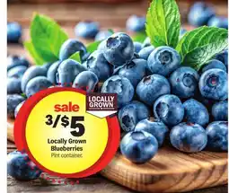 Meijer Locally Grown Blueberries offer