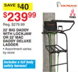 Dunham's Sports 22' BIG DADDY WITH LOCKJAW OR 22' MAC DADDY DELUXE LADDER offer