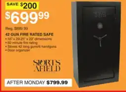 Dunham's Sports 42 GUN FIRE RATED SAFE offer