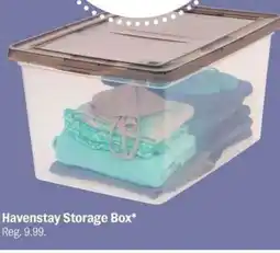 Meijer Havenstay Storage Box offer