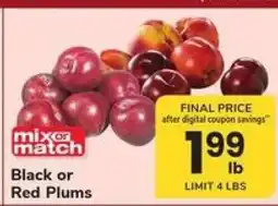 Safeway Black or Red Plums offer