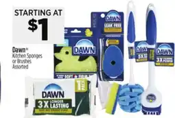 Dollar General Dawn Kitchen Sponges or Brushes offer
