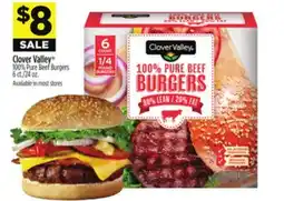 Dollar General Clover Valley 100% Pure Beef Burgers offer