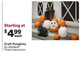 Michaels Craft Pumpkins by Ashland offer