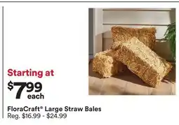 Michaels FloraCraft Large Straw Bales offer