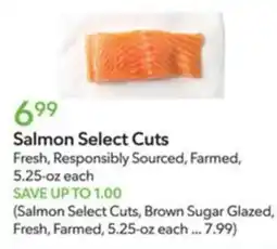 Publix Salmon Select Cuts offer