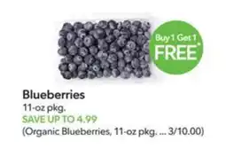 Publix Blueberries offer