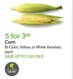 Publix Corn offer
