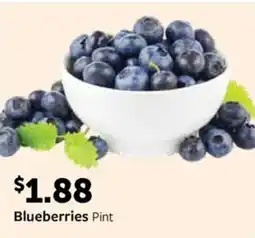 Fareway Blueberries offer