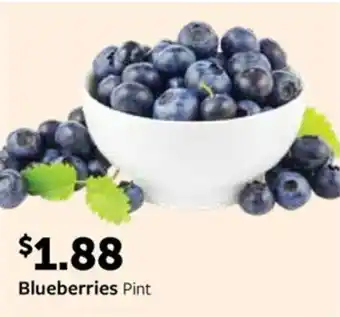 Fareway Blueberries offer