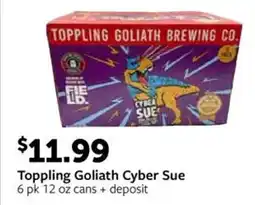 Fareway Toppling Goliath Cyber Sue offer
