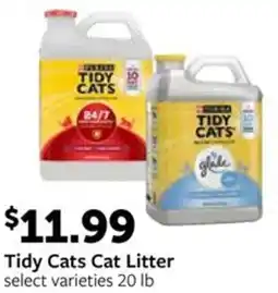 Fareway Tidy Cats Cat Litter offer
