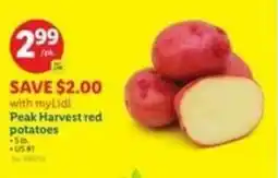 Lidl Peak Harvest red potatoes offer