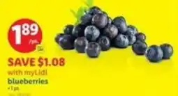 Lidl blueberries offer