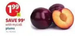Lidl plums offer