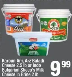 Super King Markets Karoun Ani Arz Baladi Cheese offer