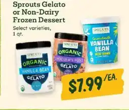 Sprouts Farmers Market Sprouts Gelato or Non-Dairy Frozen Dessert offer