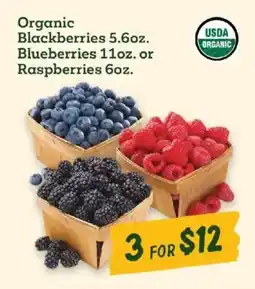 Sprouts Farmers Market Organic Blackberries, Blueberries, Raspberries offer