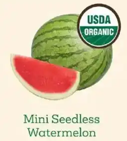 Sprouts Farmers Market Mini Seedless Watermelon offer