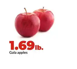Hy-Vee Gala apples offer