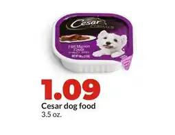 Hy-Vee Cesar dog food offer