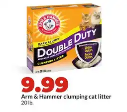 Hy-Vee Arm & Hammer clumping cat litter offer