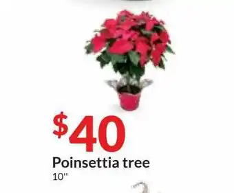 Hy-Vee Poinsettia Tree offer