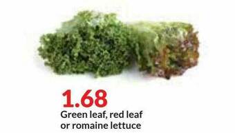 Hy-Vee Green Leaf, Red Leaf Or Romaine Lettuce offer