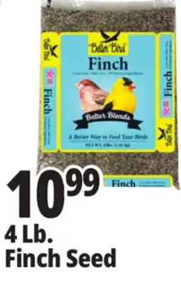 Ocean State Job Lot Better Bird Finch Bird Food 4 lbs offer