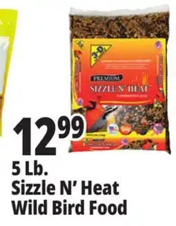 Ocean State Job Lot Better Bird Sizzle N' Heat Premium Wild Bird Food 5 lbs offer