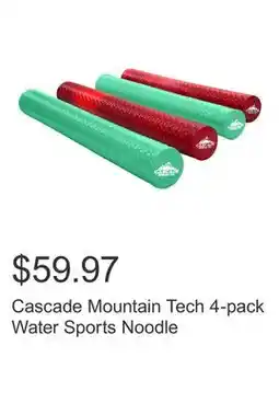 Costco Cascade Mountain Tech 4-pack Water Sports Noodle offer