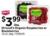 Stop&Shop Driscoll's organic raspberries or blackberries offer