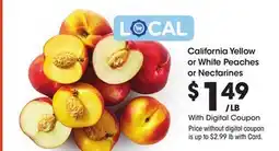 Ralphs California Yellow or White Peaches or Nectarines offer