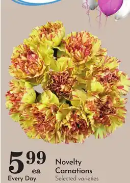Pavilions Novelty Carnations offer