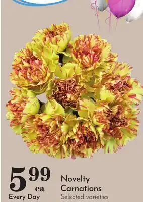 Pavilions Novelty Carnations offer