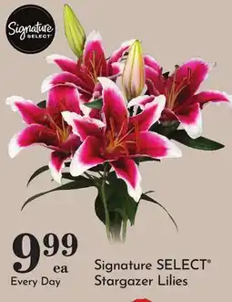Pavilions Signature SELECT Stargazer Lilies offer