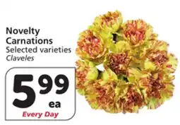 Albertsons Novelty Carnations offer